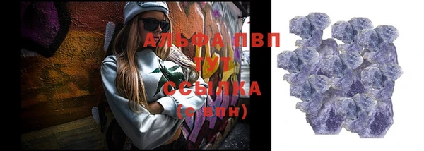 стафф Новодвинск
