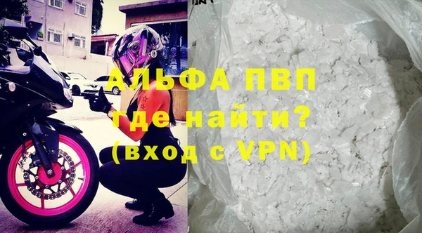 стафф Новодвинск