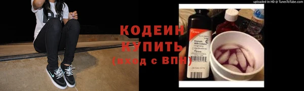 стафф Новодвинск