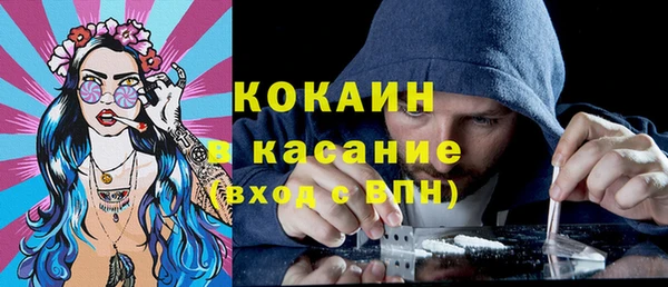 стафф Новодвинск