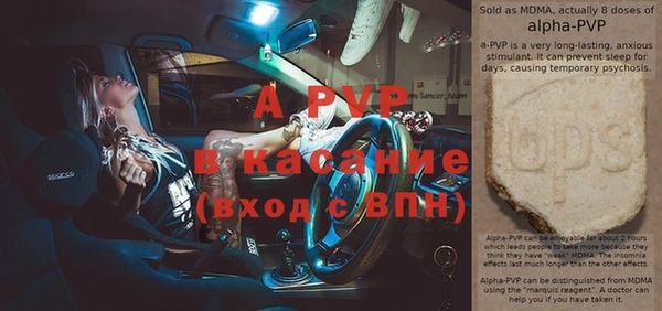 стафф Новодвинск
