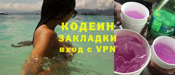 индика Болохово