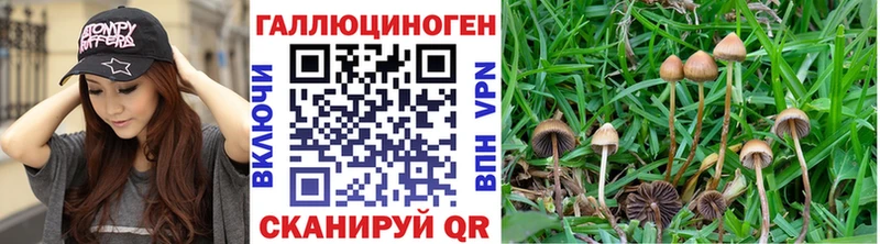 hydra зеркало  Ленск  Псилоцибиновые грибы GOLDEN TEACHER  где найти  